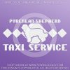 Pyrenean Shepherd Taxi Car Decal