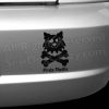 Pirate Sheltie Bumper Sticker