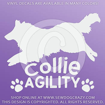 Vinyl Collie Agility Decals