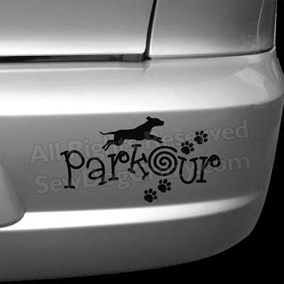 Cool Dog Parkour Bumper Stickers