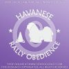 Havanese RallyO Vinyl Decals