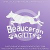 Beauceron Agility Decals