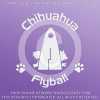Long Haired Chihuahua Flyball Stickers