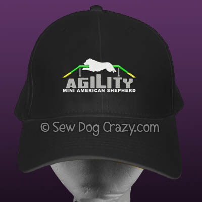 Mini American Shepherd Agility Hat