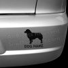 Miniature American Shepherd Bumper Stickers