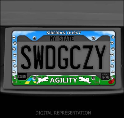 Siberian Husky Agility License Plate Frames