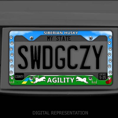 Siberian Husky Agility License Plate Frames