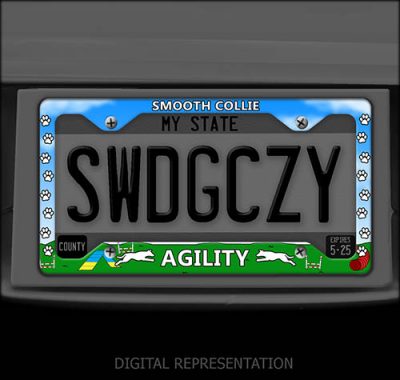 Smooth Collie Agility License Plate Frame