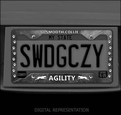 Smooth Collie Agility Dog License Plate Frames