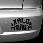 Xolo Dad Sticker