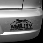 Agility Curly Coat Decal