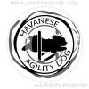 Havanese Agility Shirts