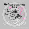 Heart Belongs to a Border Collie Shirts