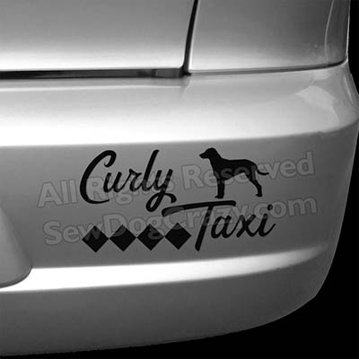 Curly Coated Retriever Taxi Car Decals