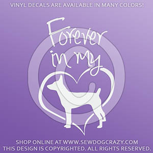 Forever In My Heart Rat Terrier Decal