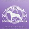 Louisiana Catahoula Leopard Dog Decals