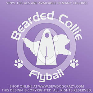 Beardie Flyball Dog